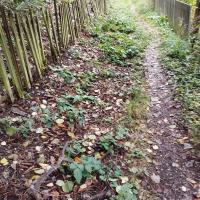 Beschreibung Wildbieneninsel