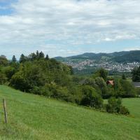 Beschreibung Wildbieneninsel